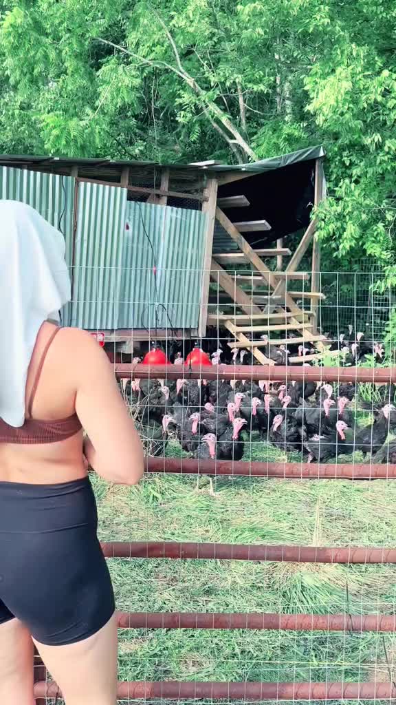 @farmerandtheharpiist