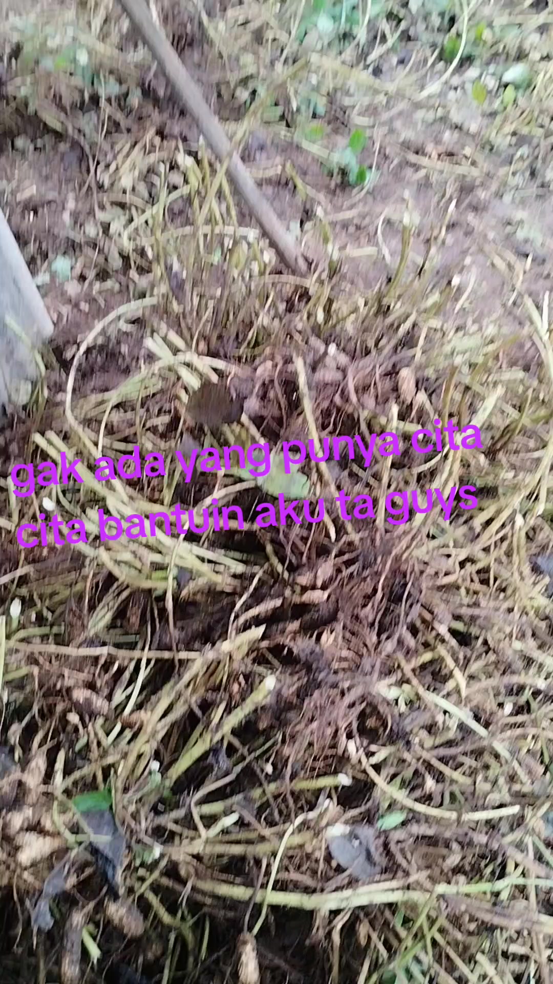 @_Ling_Ling_83