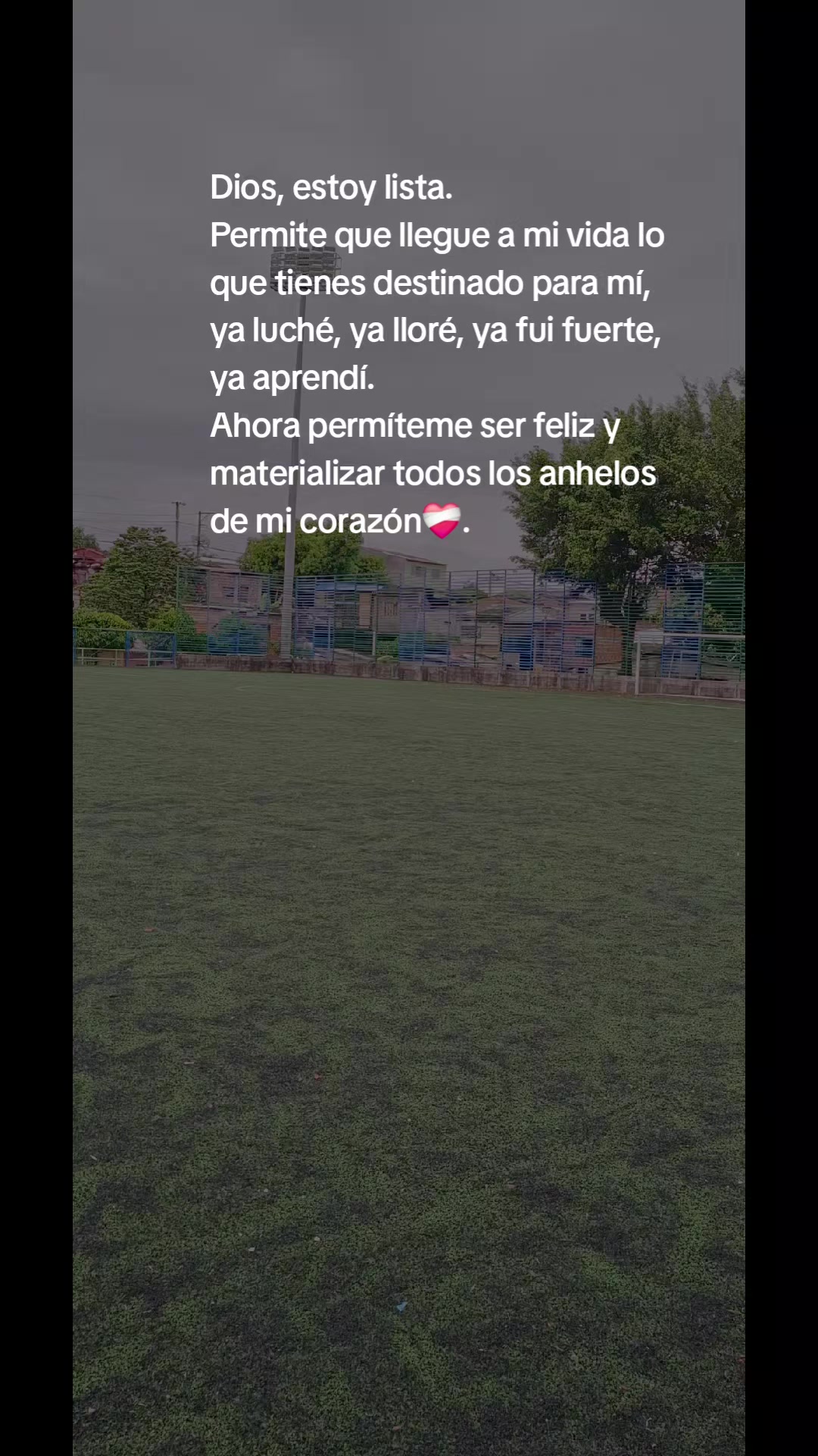 @Lina Navarro