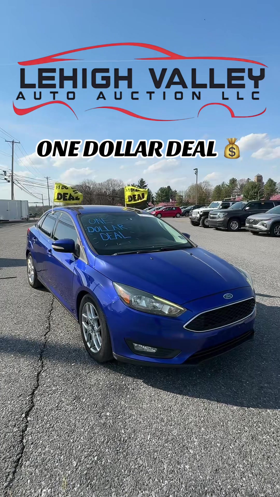 @Lehigh Valley Auto Auction