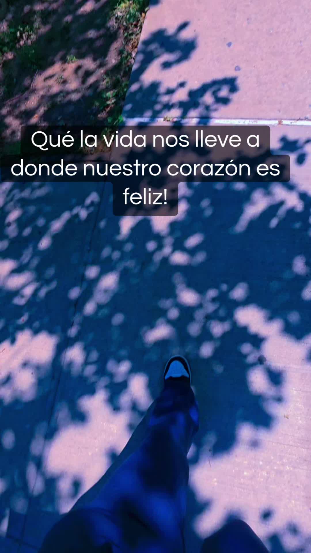 @🎶🎵🎧LUNA🎶🎵🎧