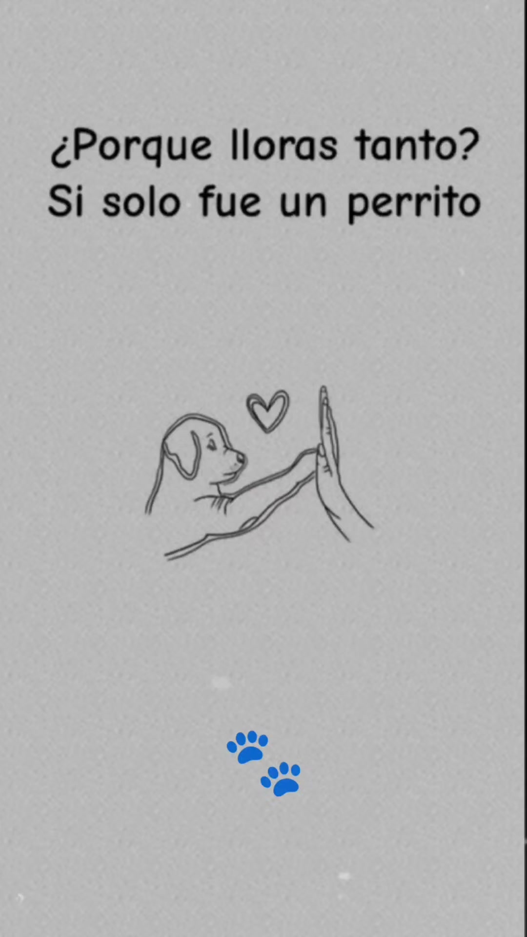 @😻 Estela 😻