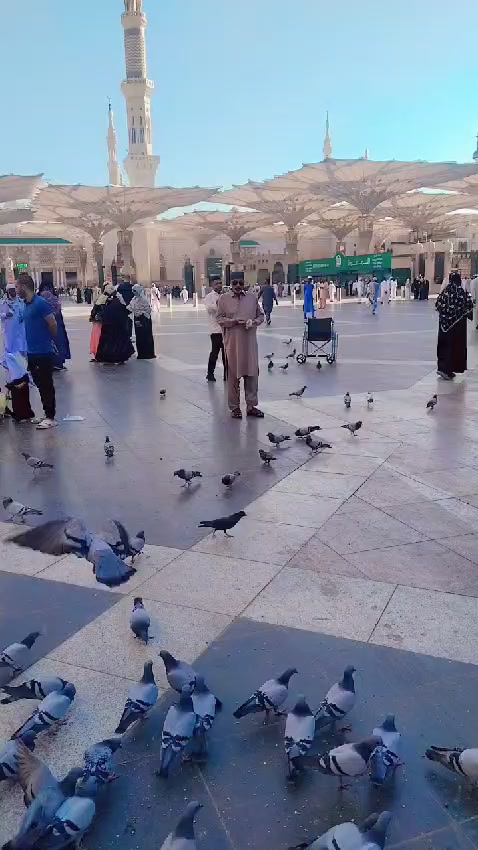 @رانا محمد سجاد