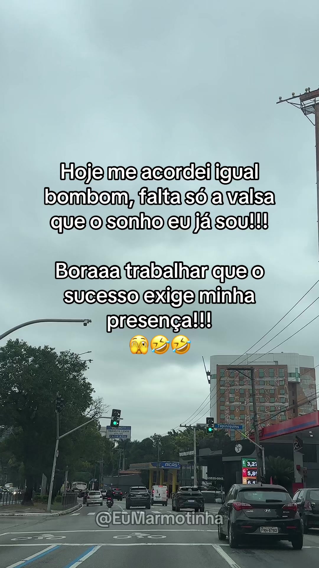 @Antonio | Marmotinha Gritando