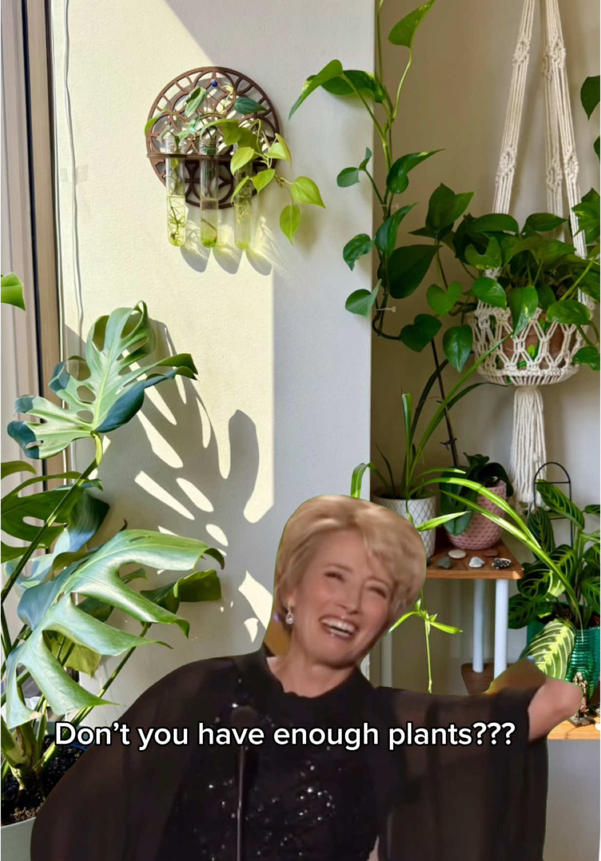 @Plant Girly 🪴
