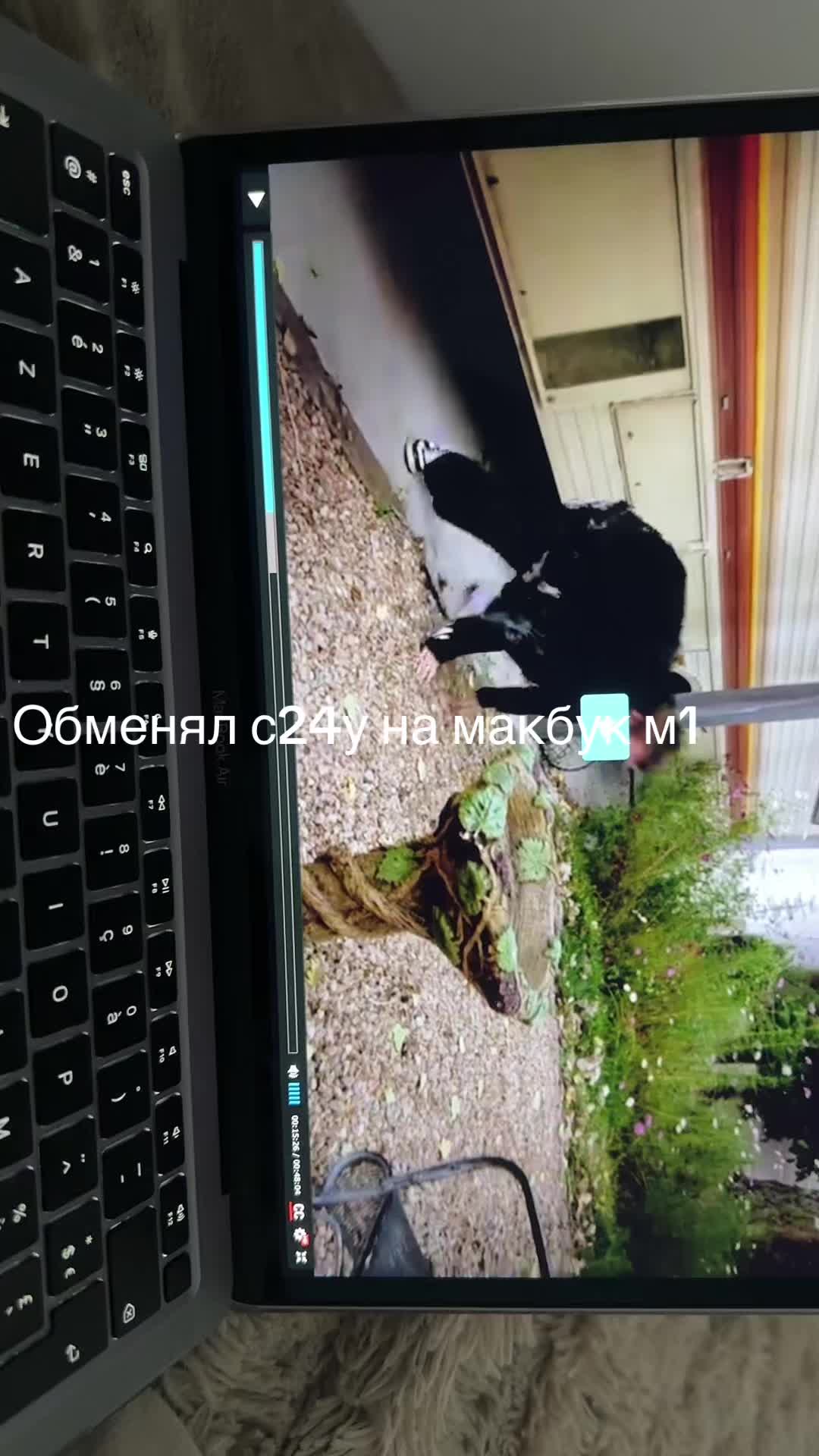 @Пор нозвезда