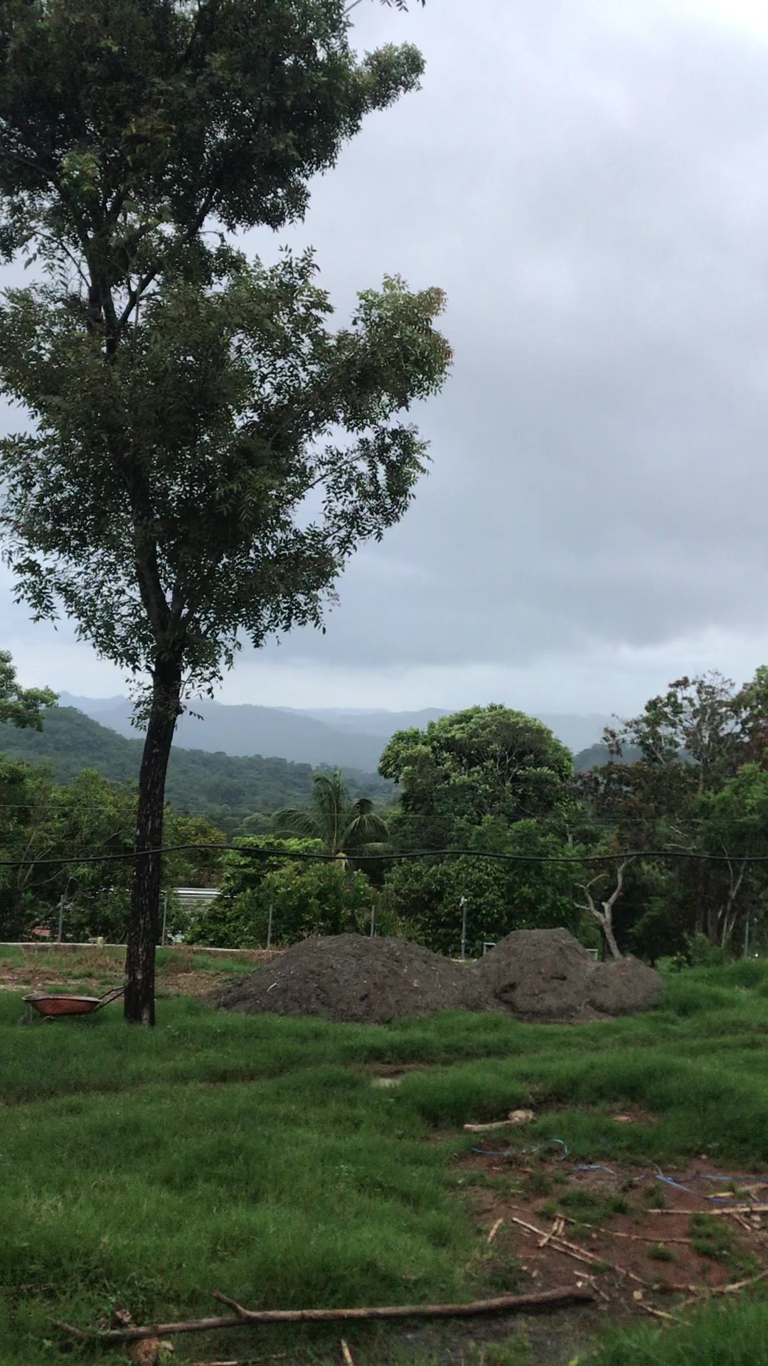 @Martinez503🇸🇻