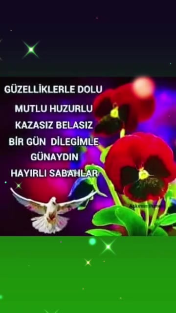 @Mehmet 46 maraşlı