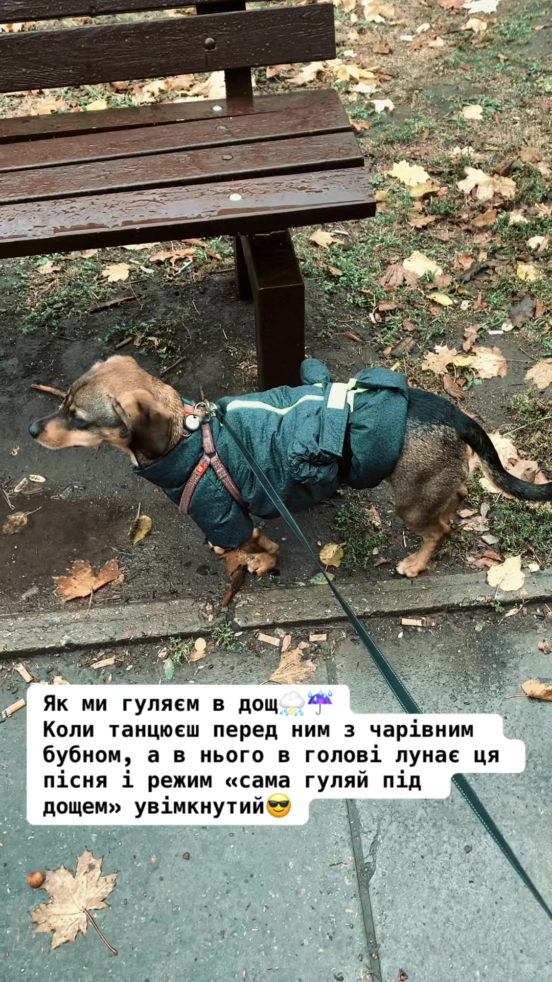 @nactya1081010810