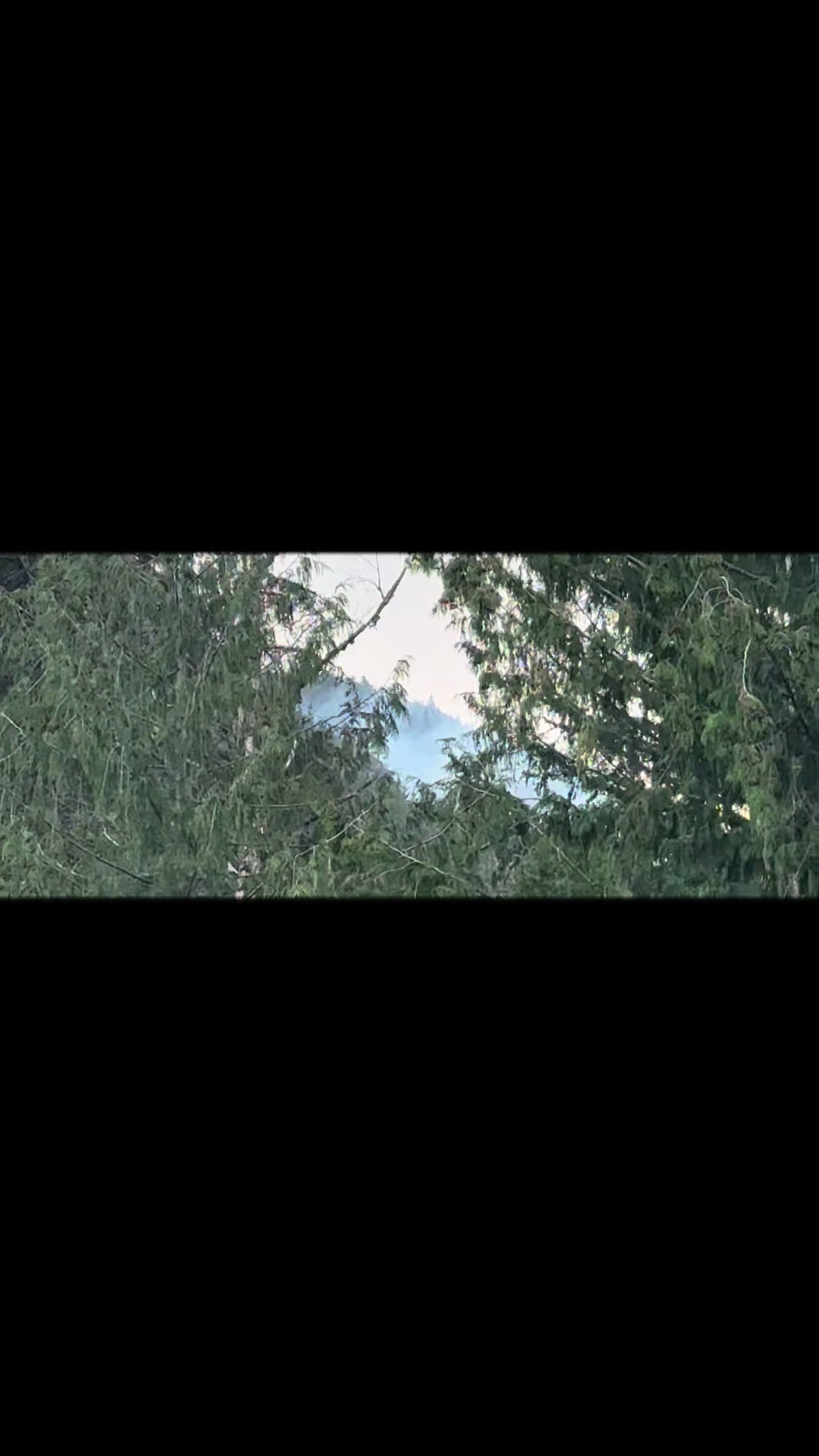@Tswa