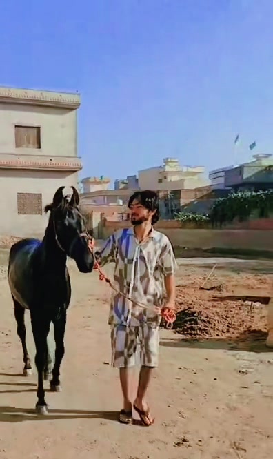 @Alexjatt🇵🇰🇺🇸