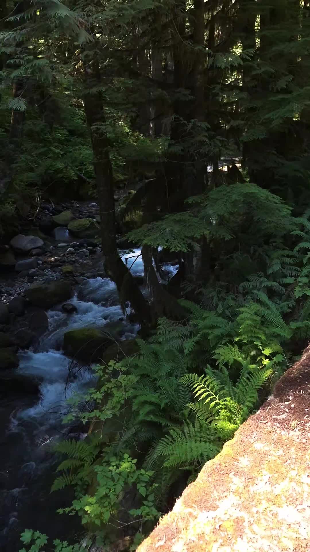 @Nicole🌲🏔🥾|PNW|