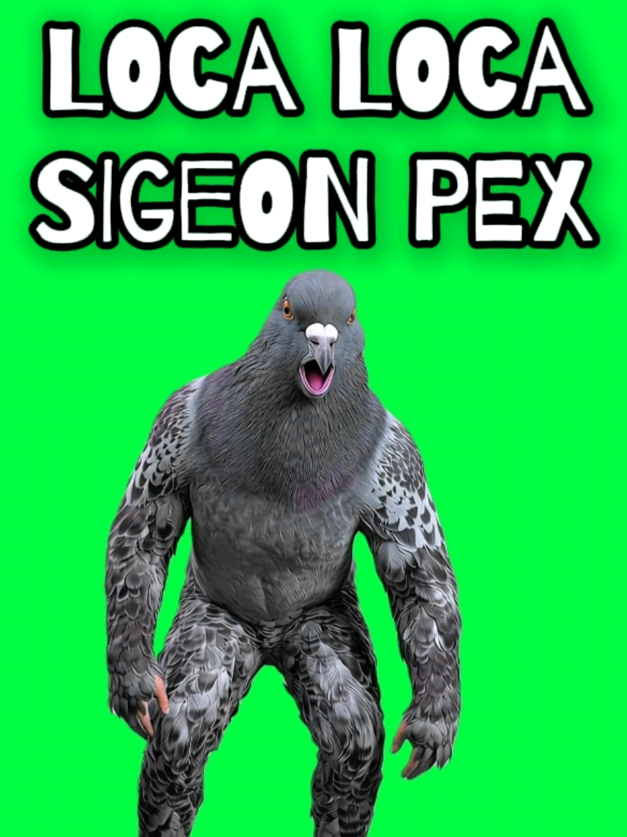 @MemeScreens