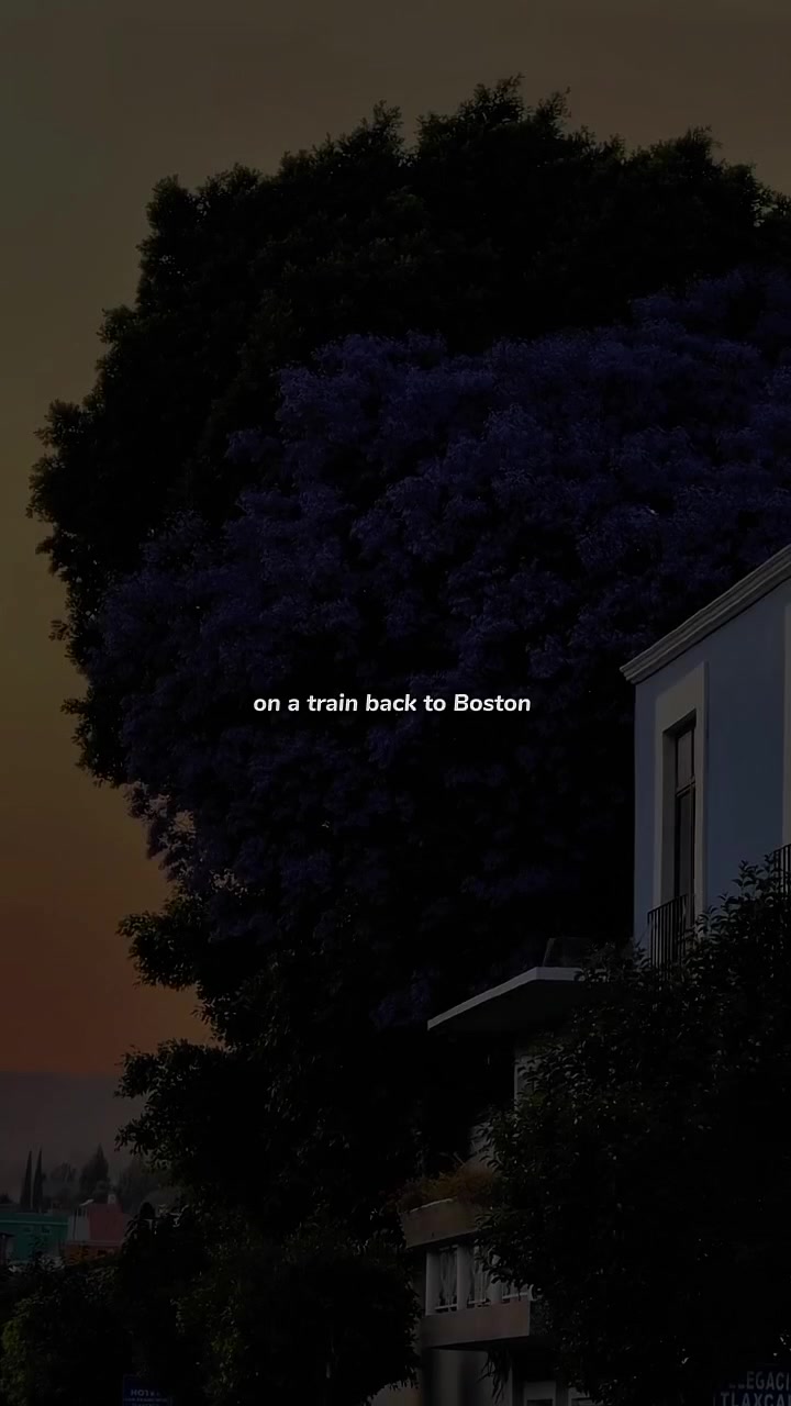 @𝐒𝐐𝐔𝐔𝐁𝐈 𝐥𝐲𝐫𝐢𝐜𝐬 🎐