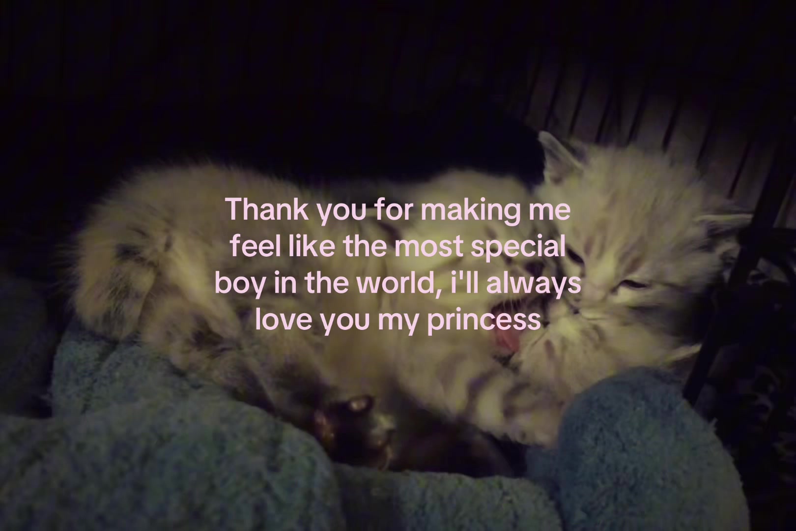 @sxalenz