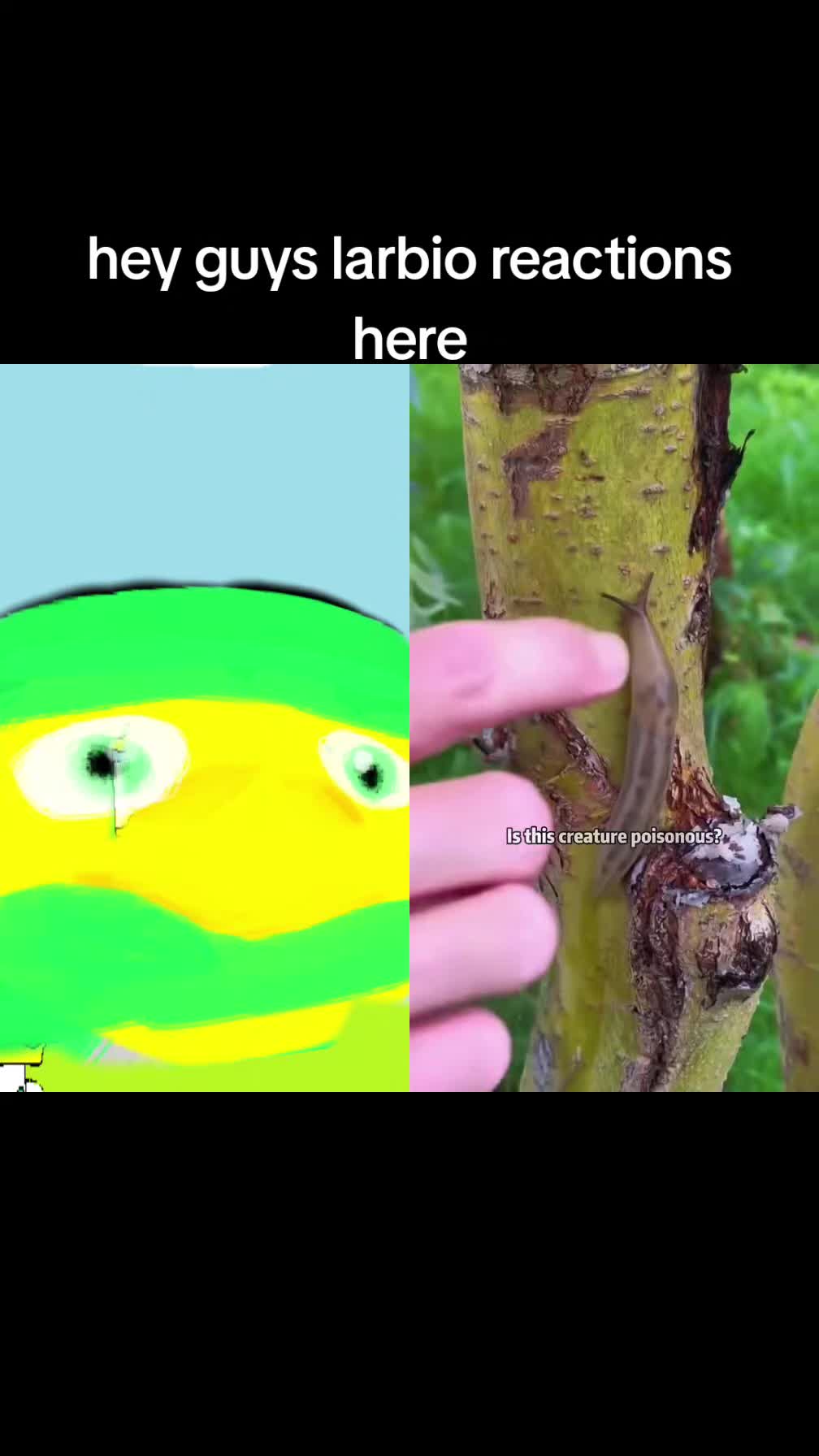 @Larbio