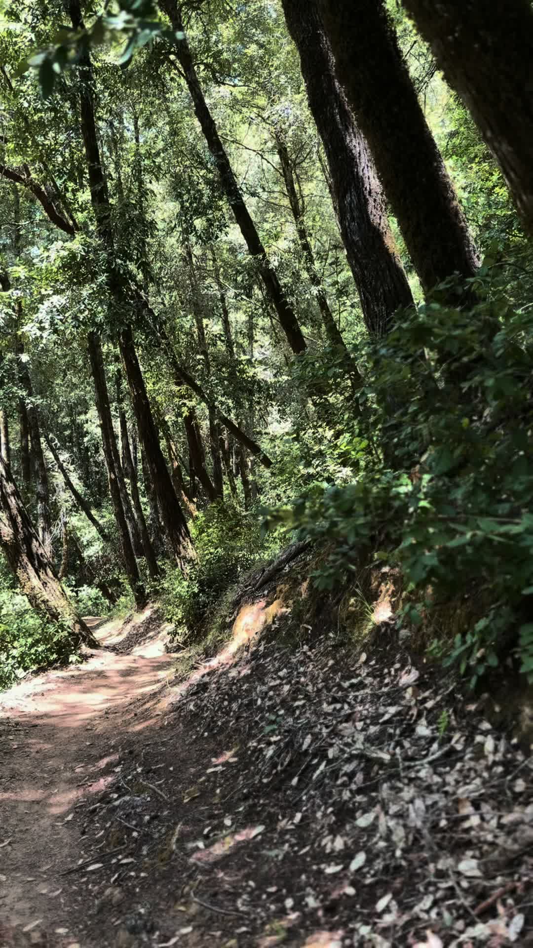 @EscapeToNature