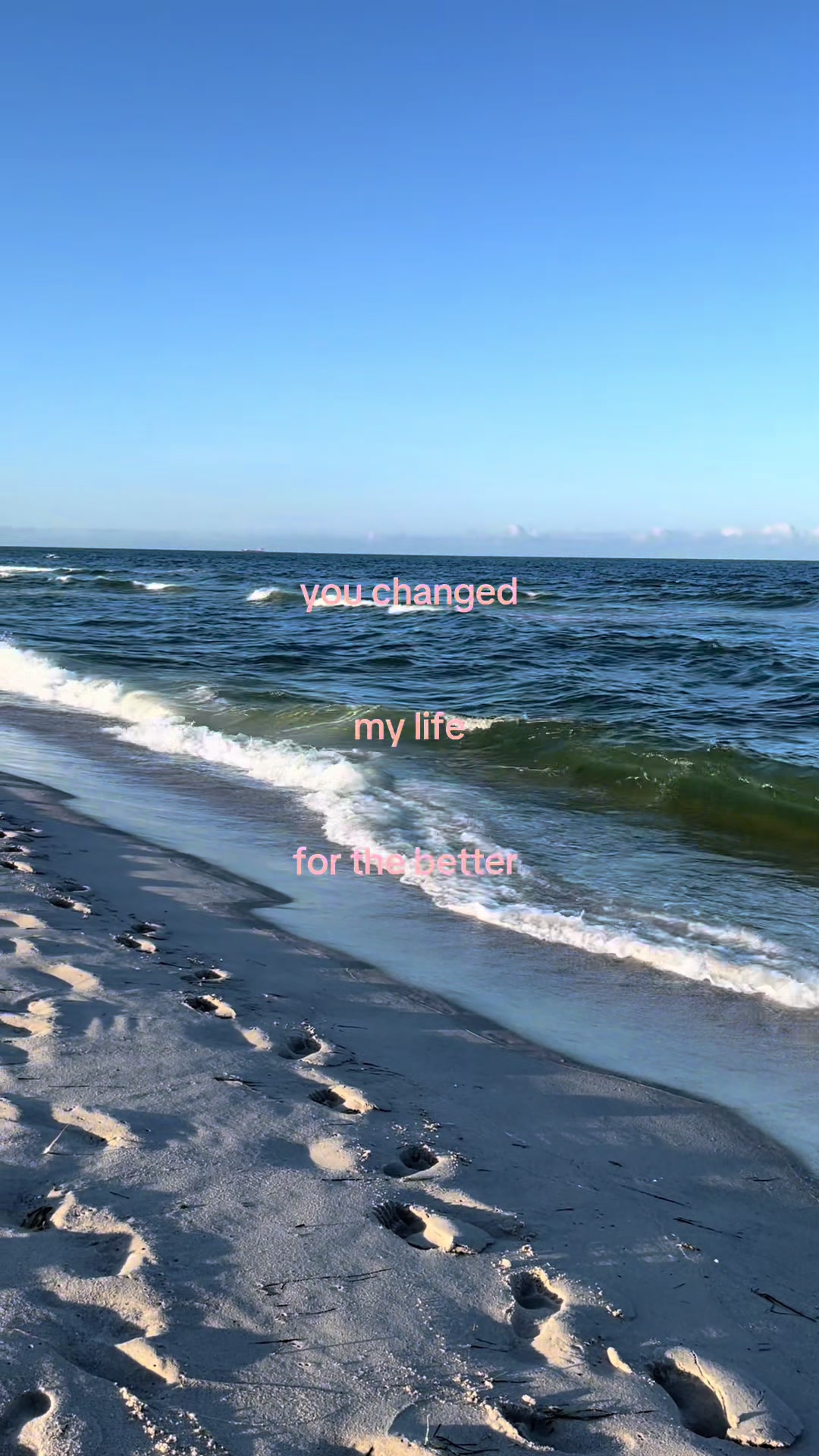 @🕊️