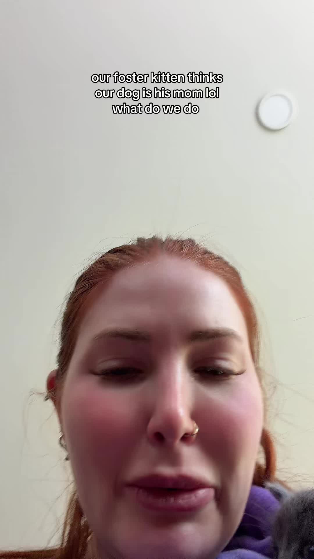 @alexis rose