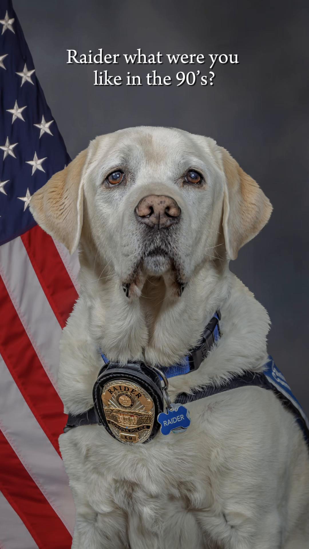 @K9_Raider