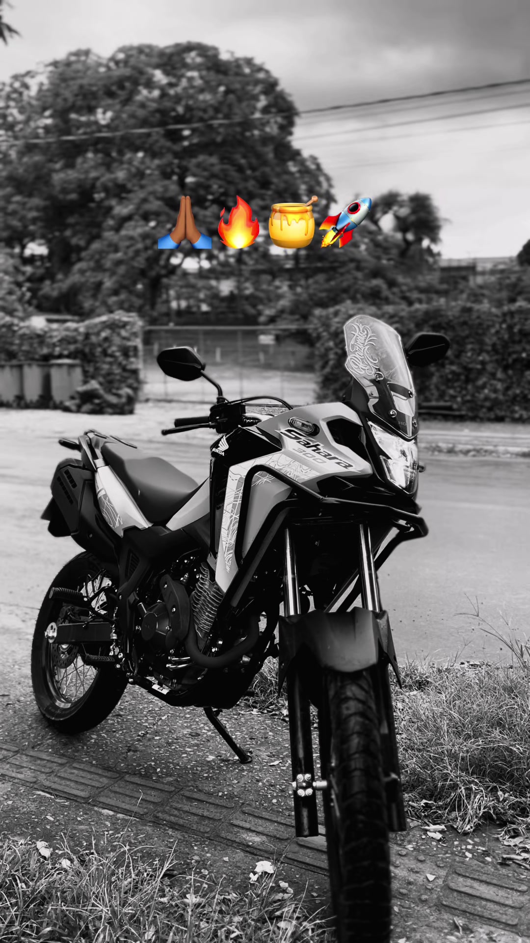 @Sahara300bto💎