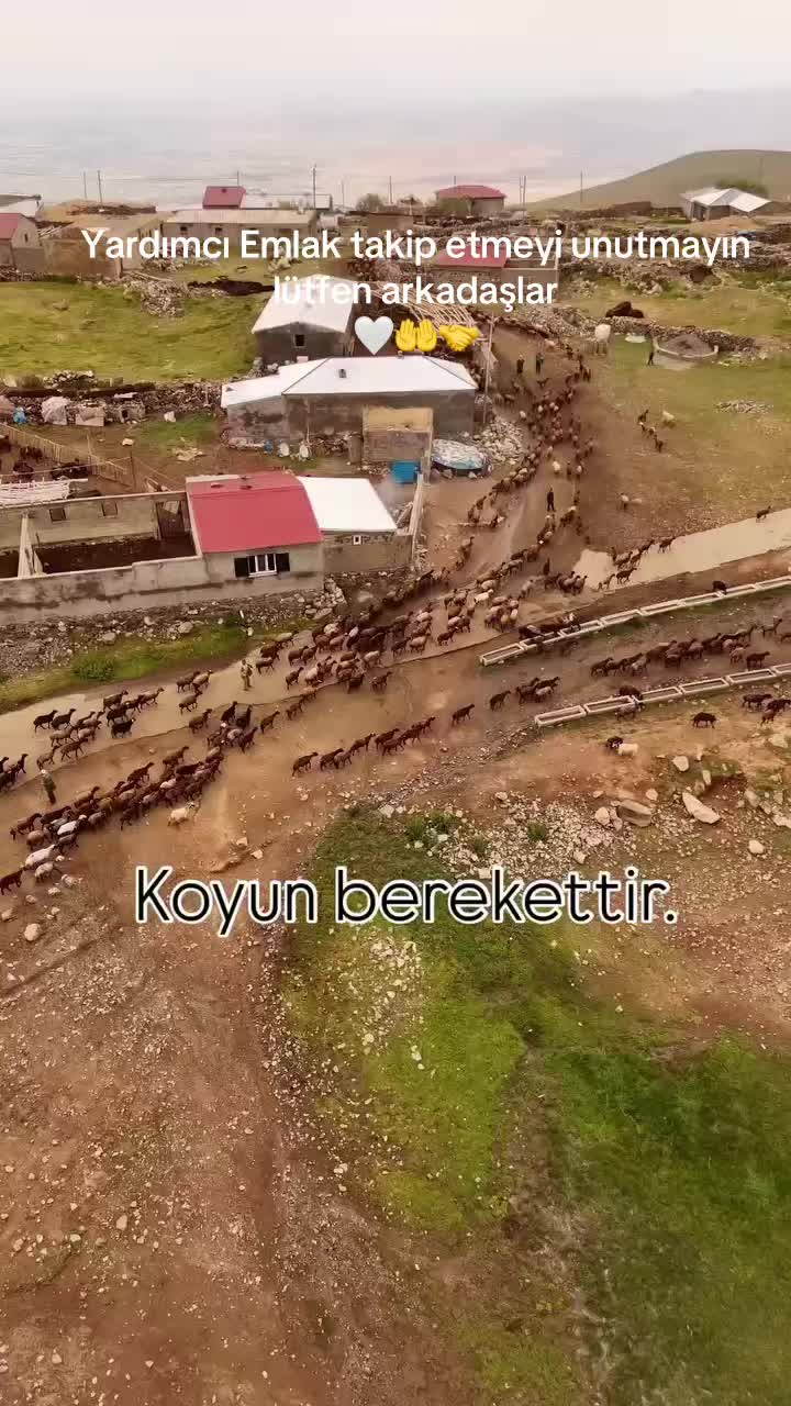 @Yardımcı Emlak