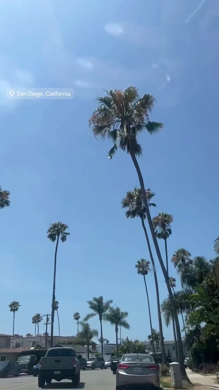 @Bodyinprofit
