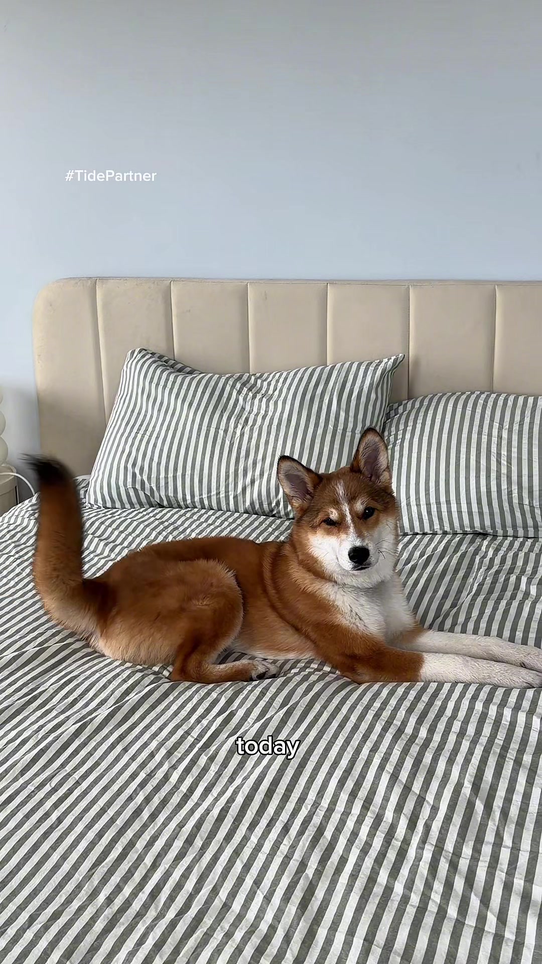 @katiecung