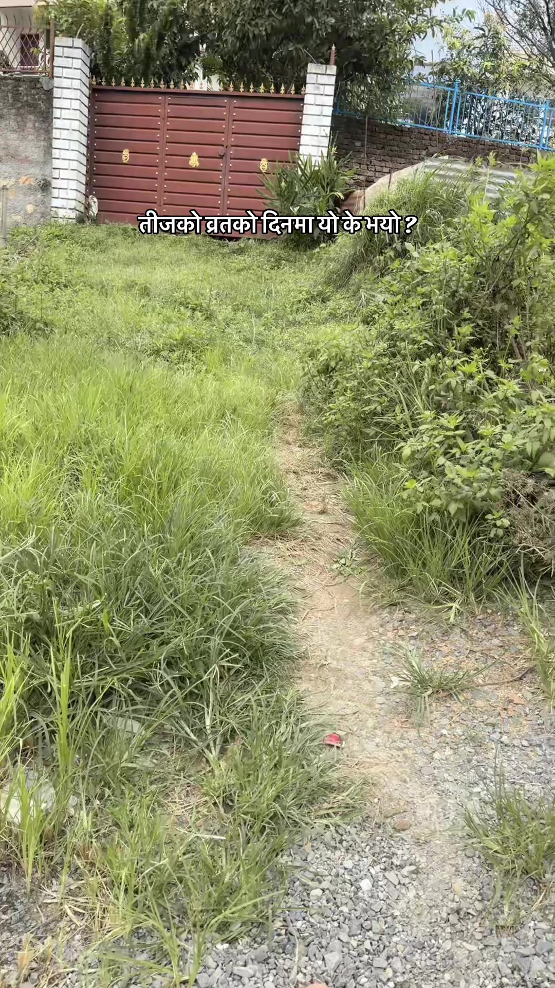 @Minu Niraula