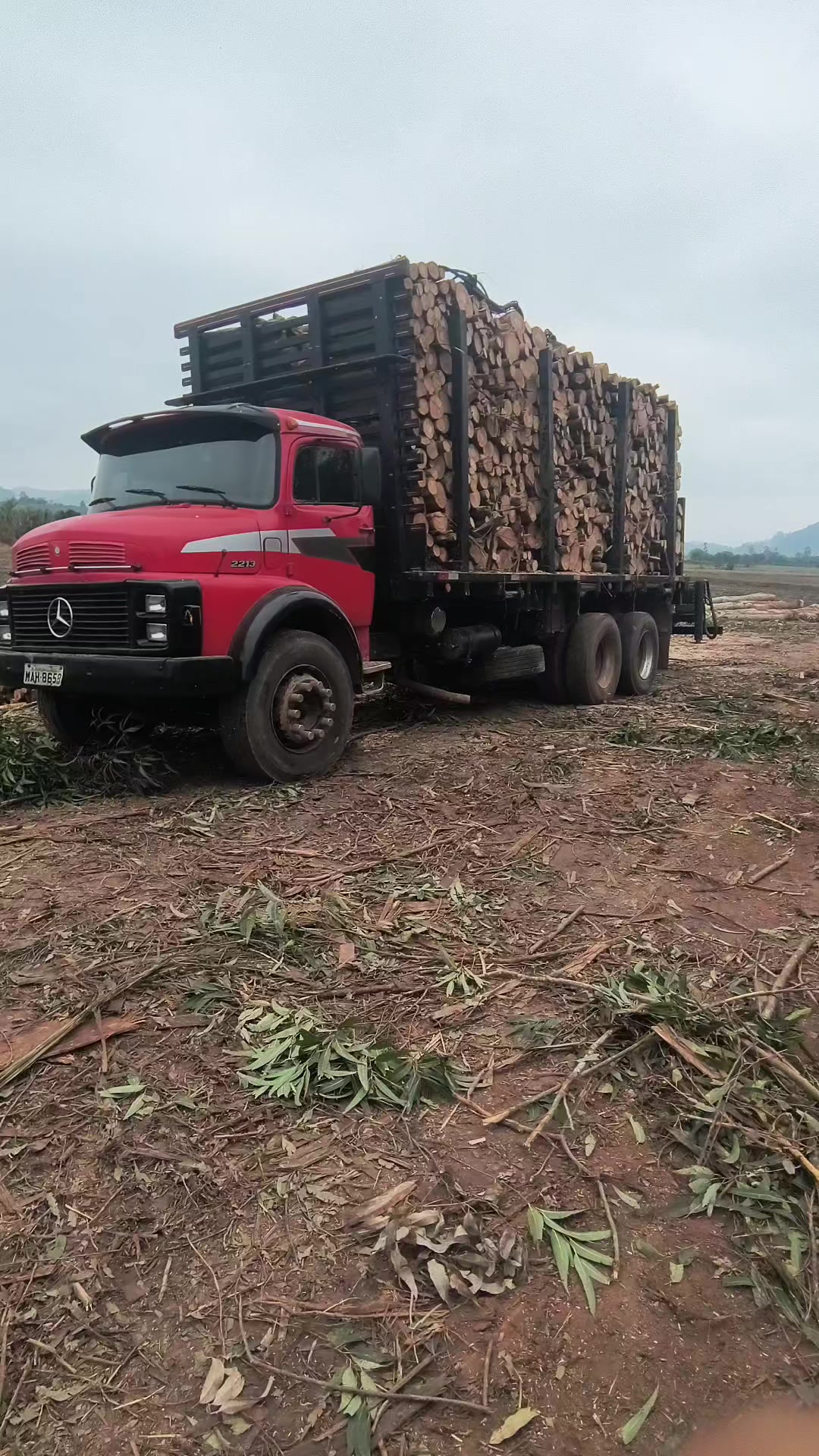 @JV FLORESTAL
