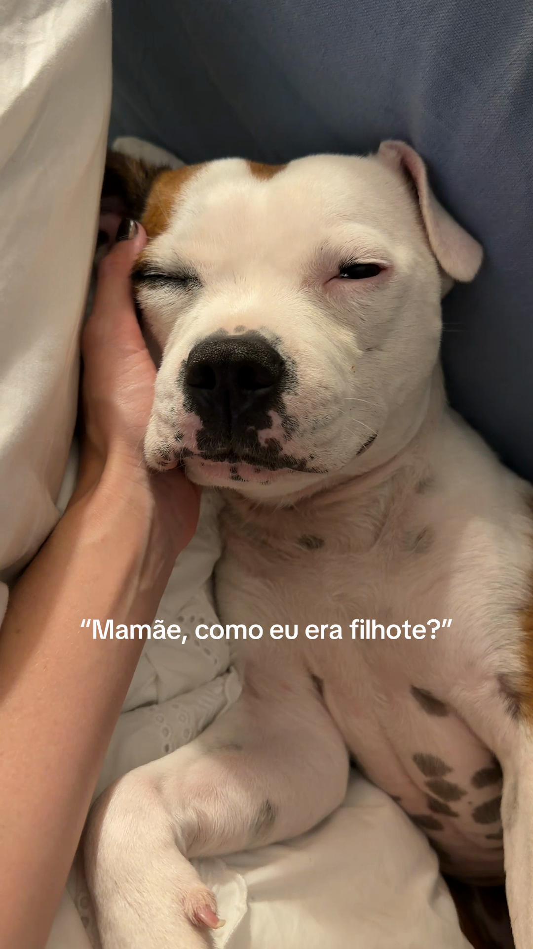 @LELÊ BURNIER