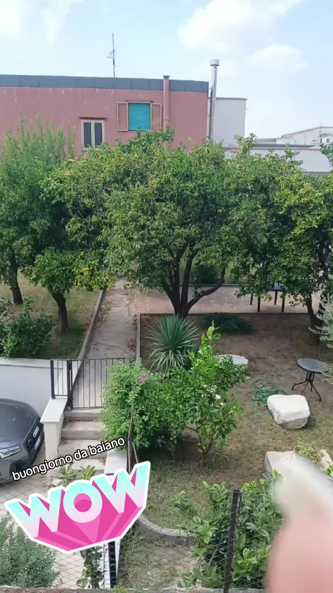 @carmen78