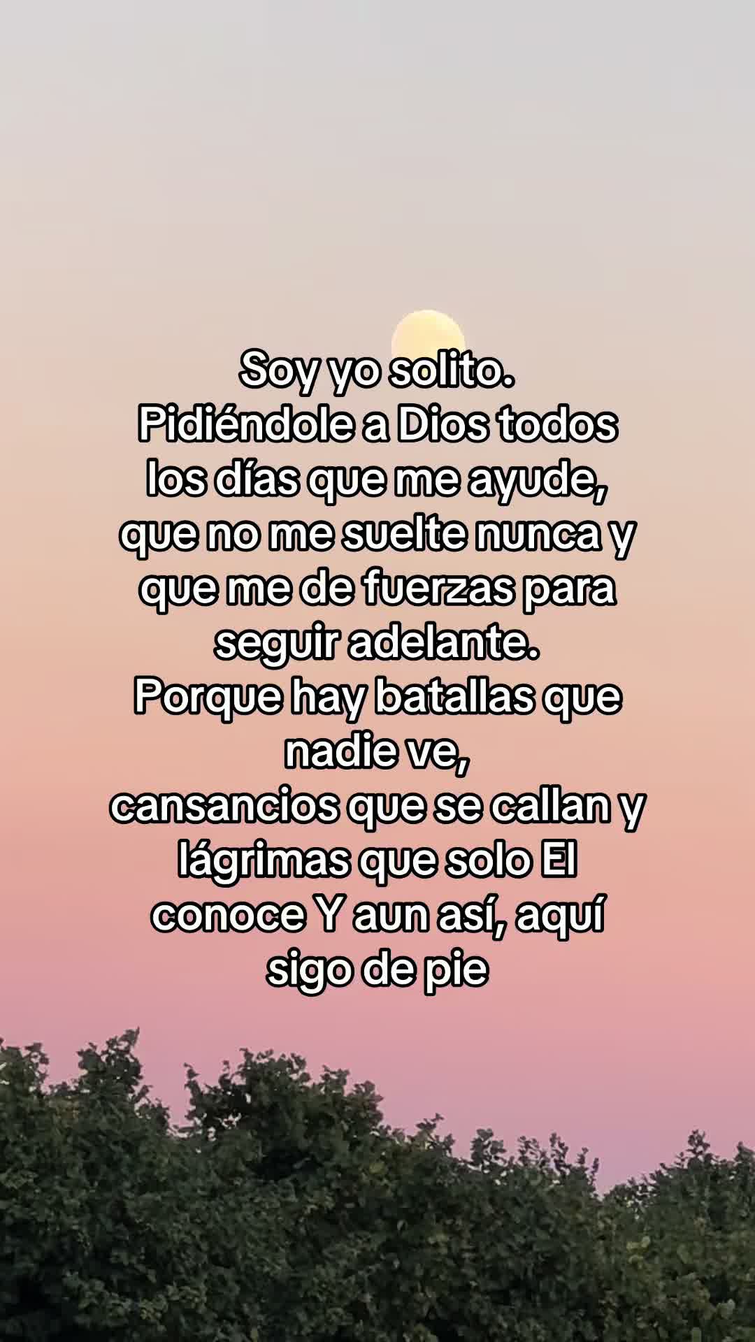 @⚜️🍓🪗pablocarbajal63🪗🍓⚜️