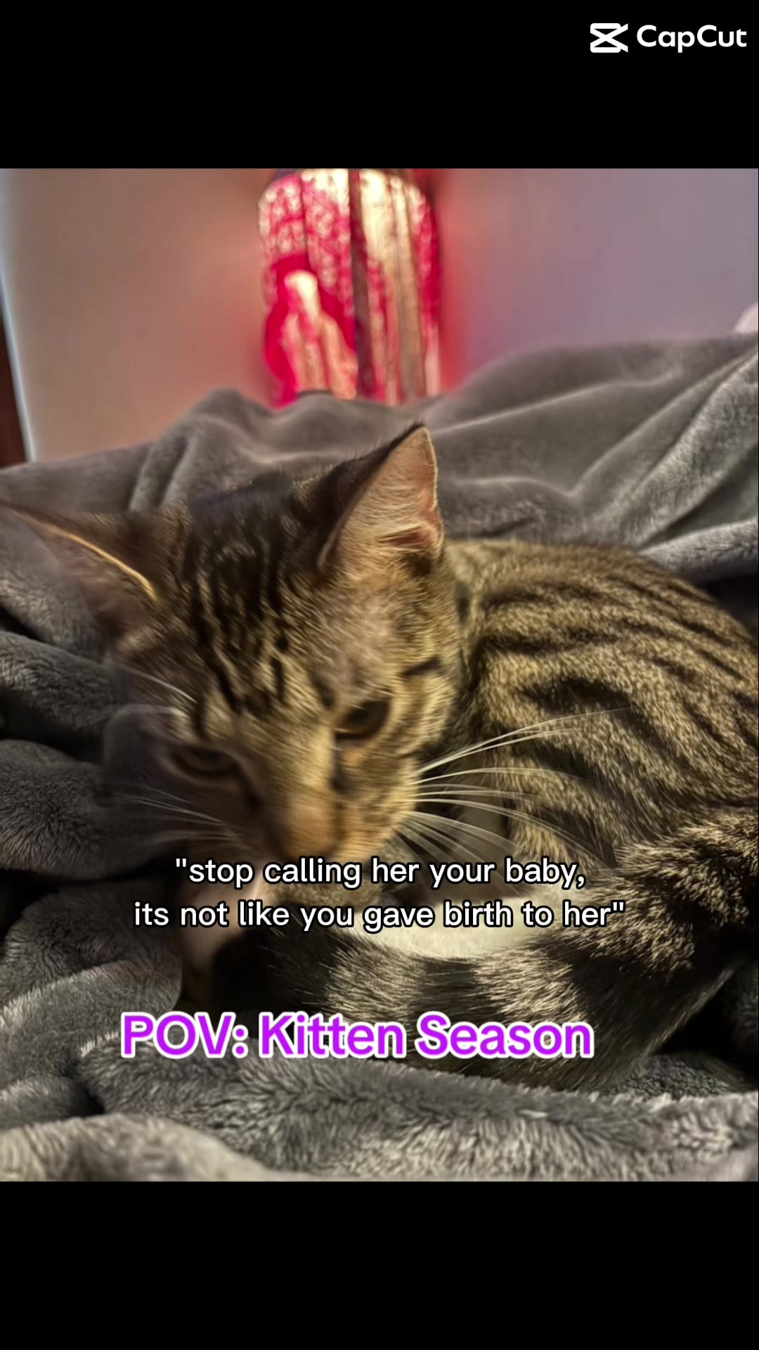 @DeannaCastroCaveatVenditor