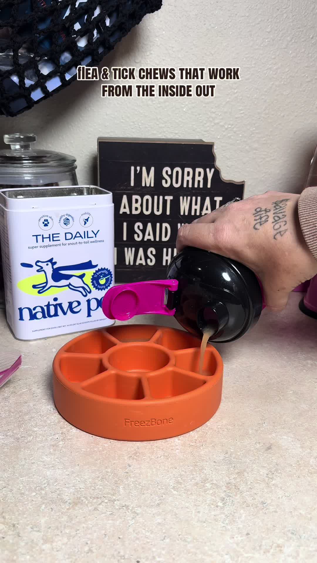 @kai•thedogmother🐾