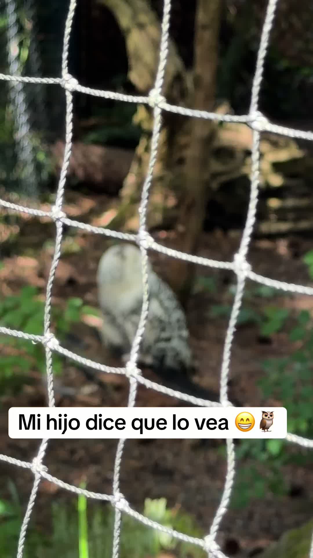 @EJ Llaverias