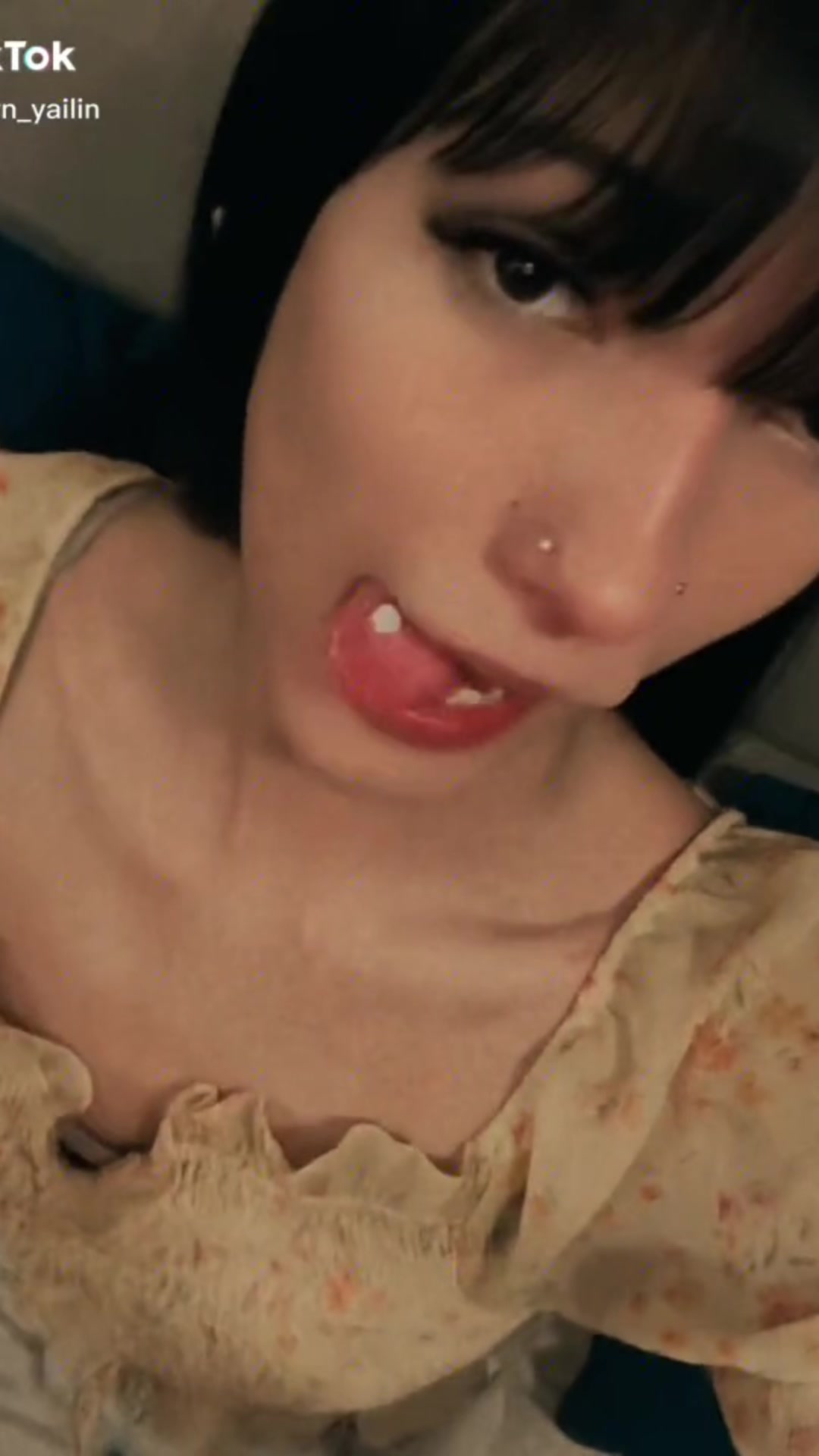 @translovrs