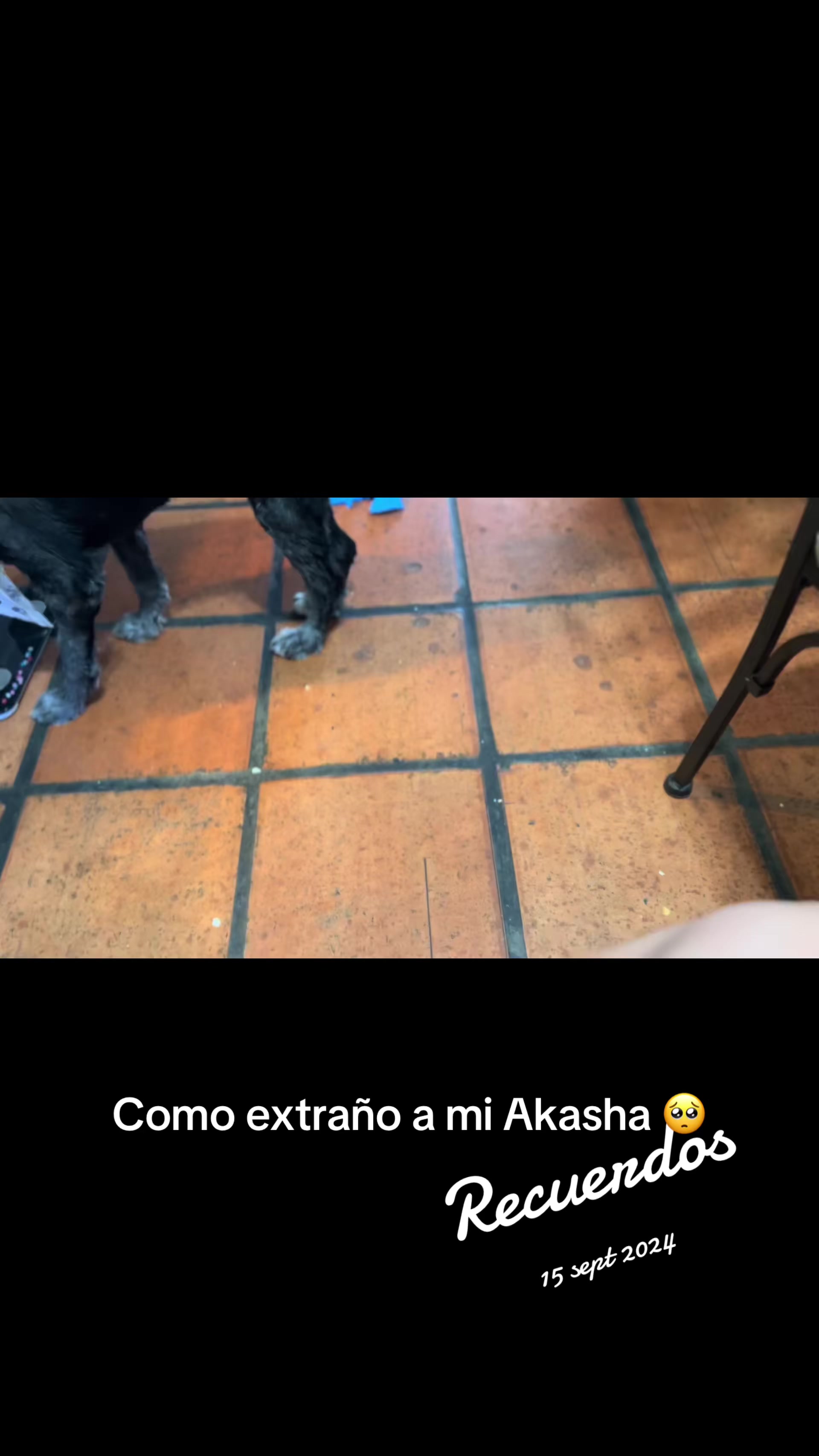 @Clau XD Ventura
