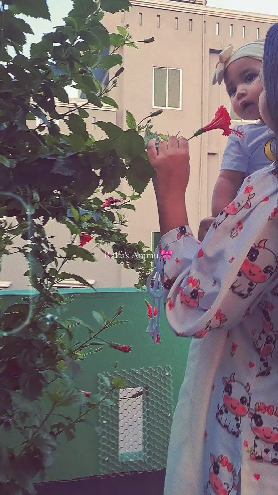 @𝐑𝐚𝐢𝐟𝐚'𝐬 𝐀𝐦𝐦𝐮 🎀