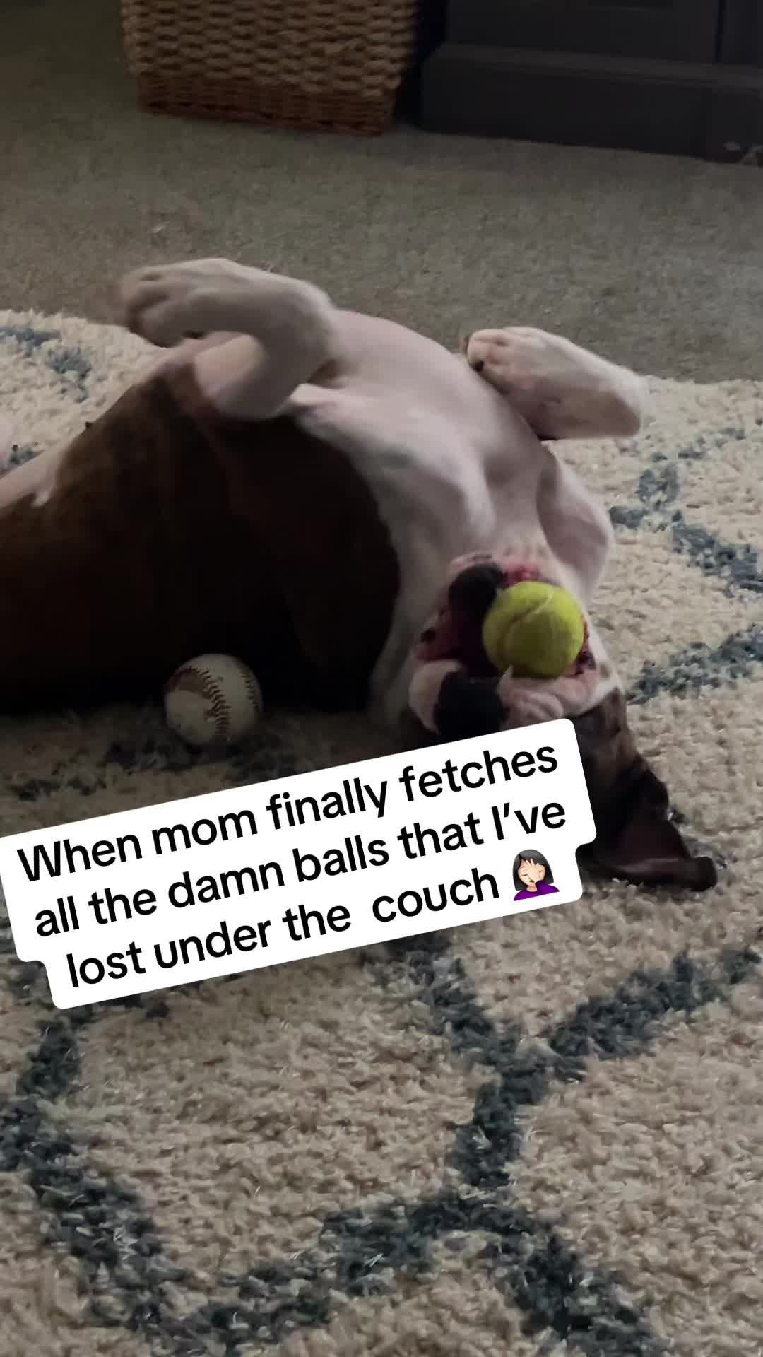 @chelsey.elizabeth2