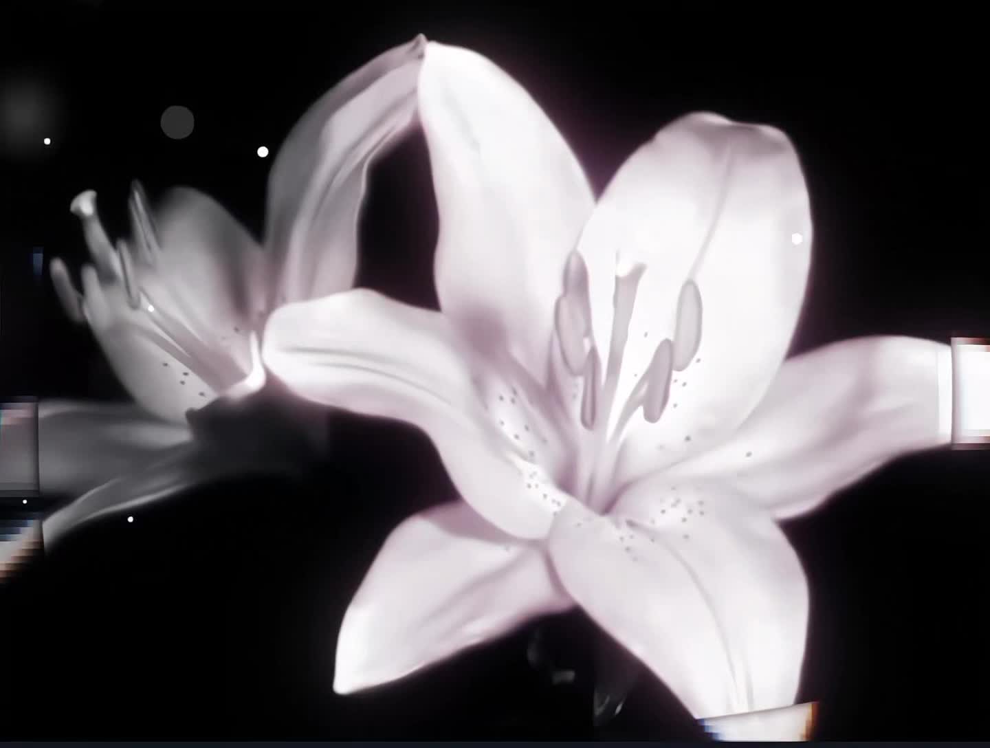 @𝐋𝐮𝐯𝐞𝐧𝐪