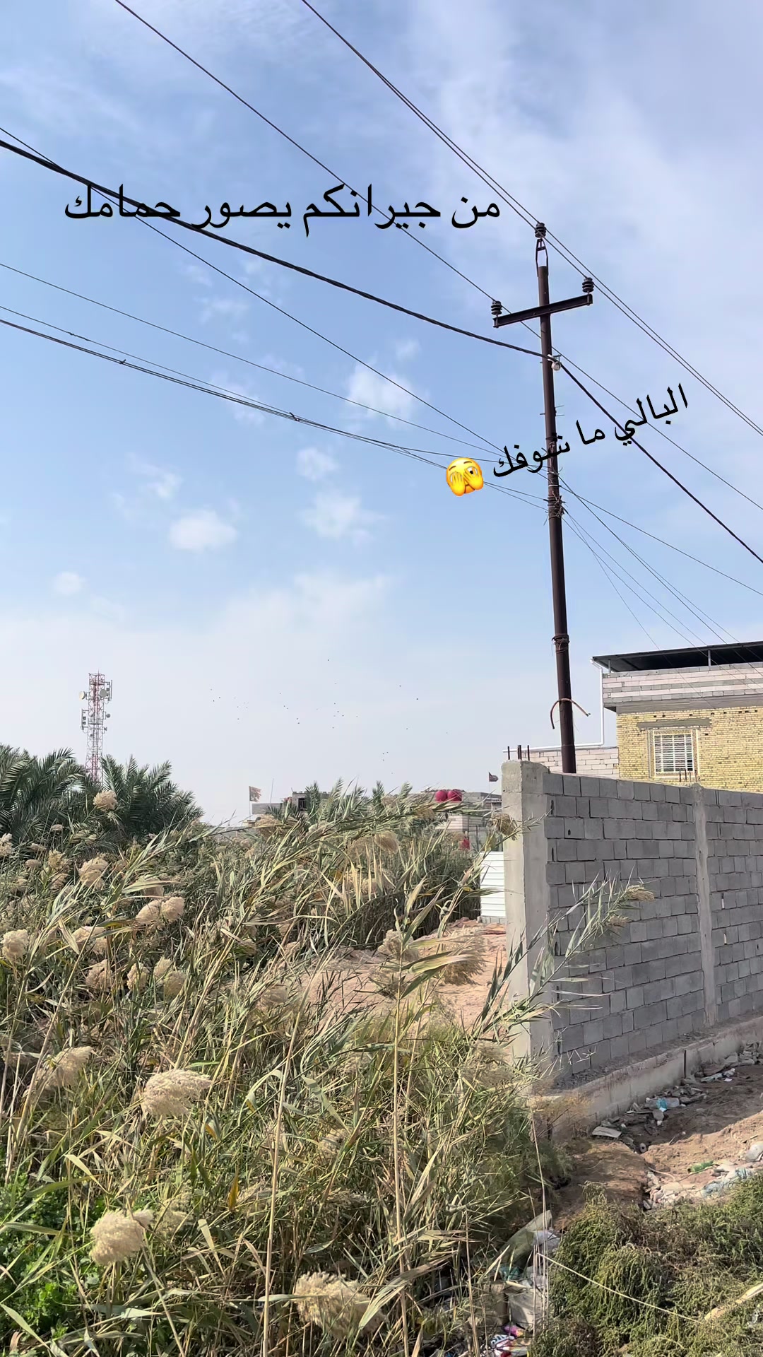 @عبسي