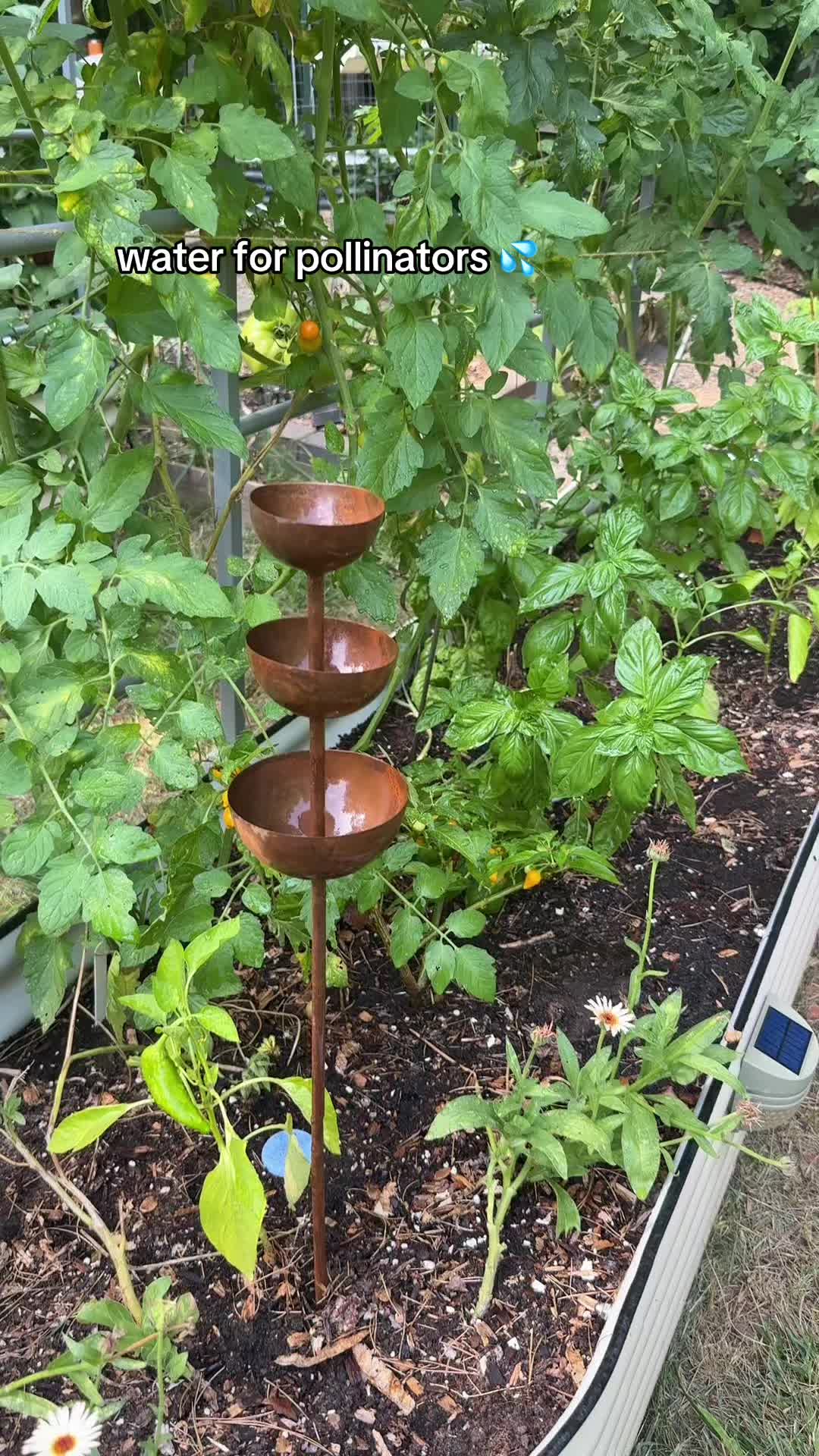 @The Ever Hopeful Gardener
