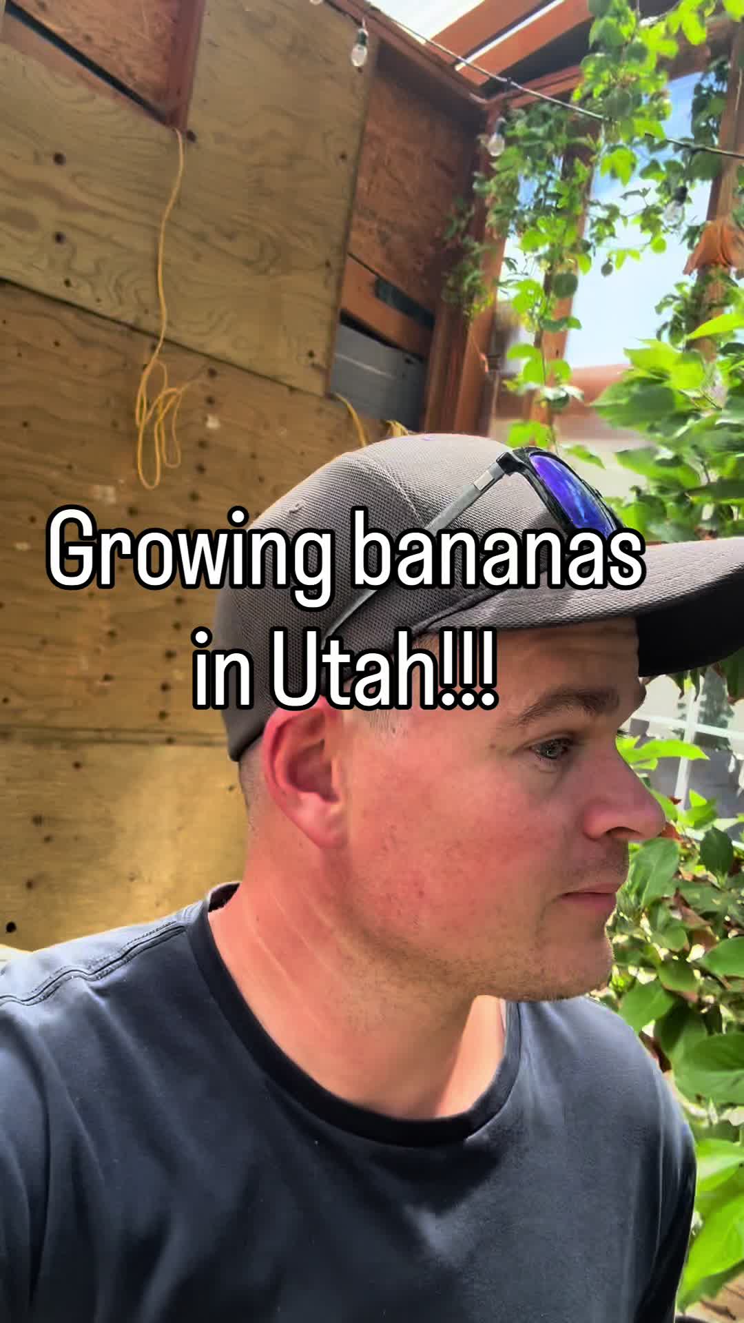 @familyinventor