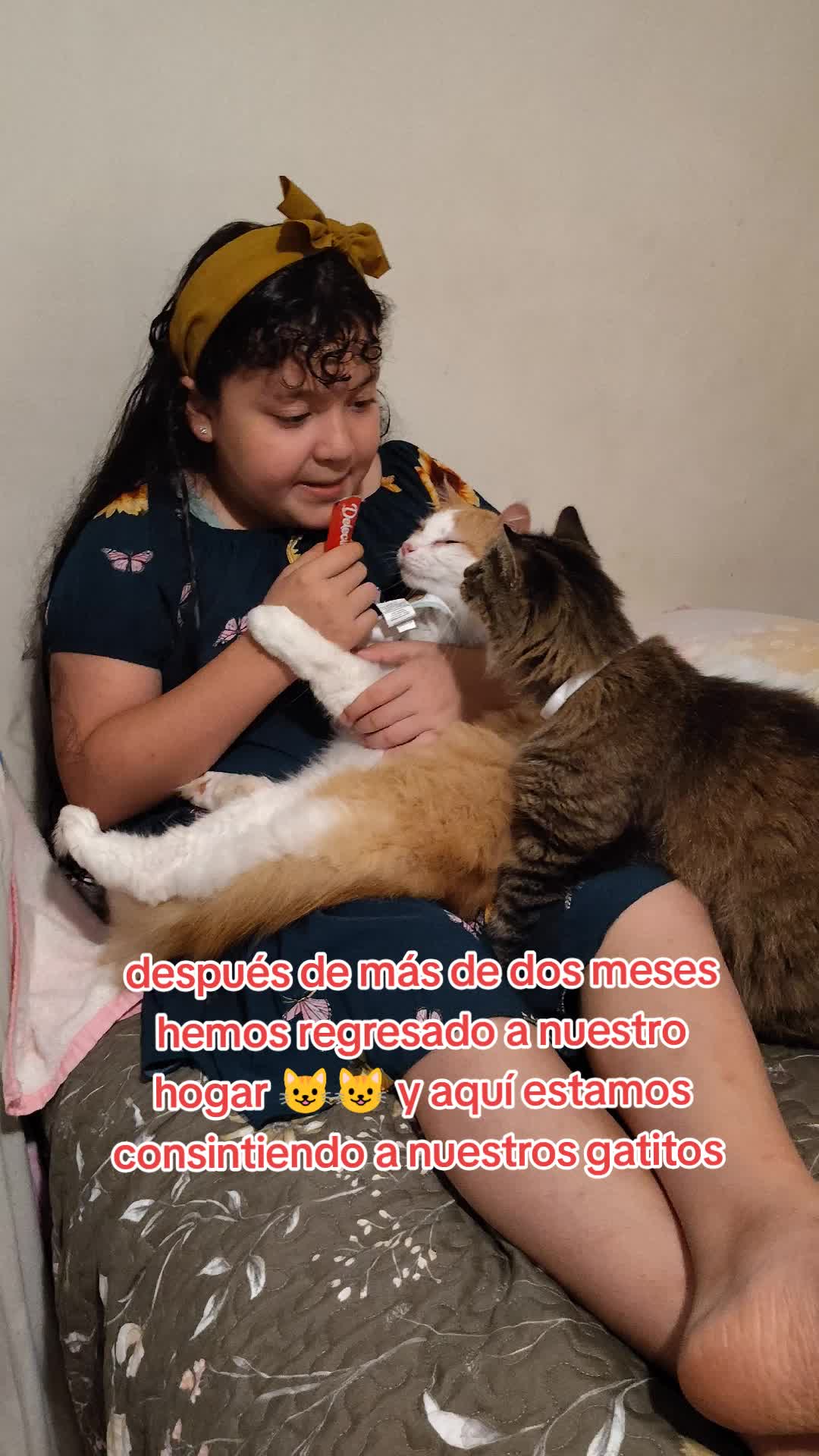 @Charlotte🐕🦺🐈🐕🦬🐐🐎🐄🐒