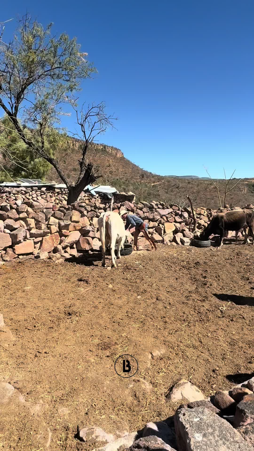 @El zurdo🌵🐴
