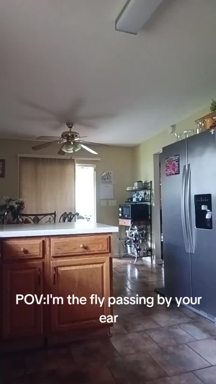 @Trayb17