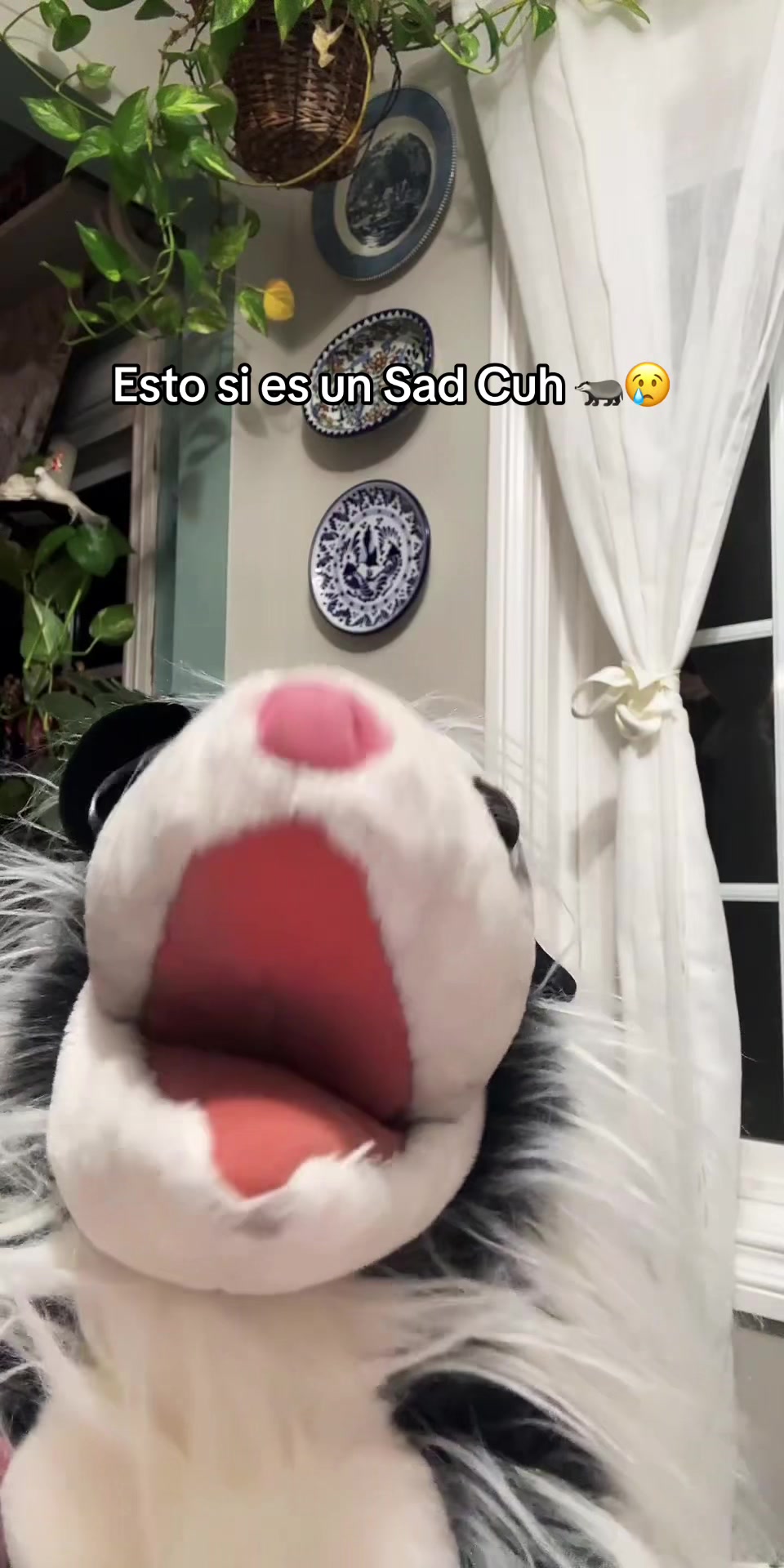 @Takuachito 🛻
