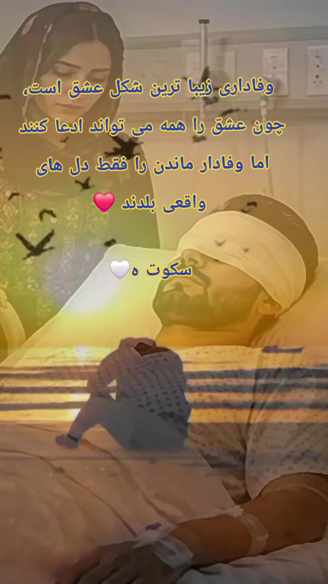 @سکوت 🌺🌺🌺