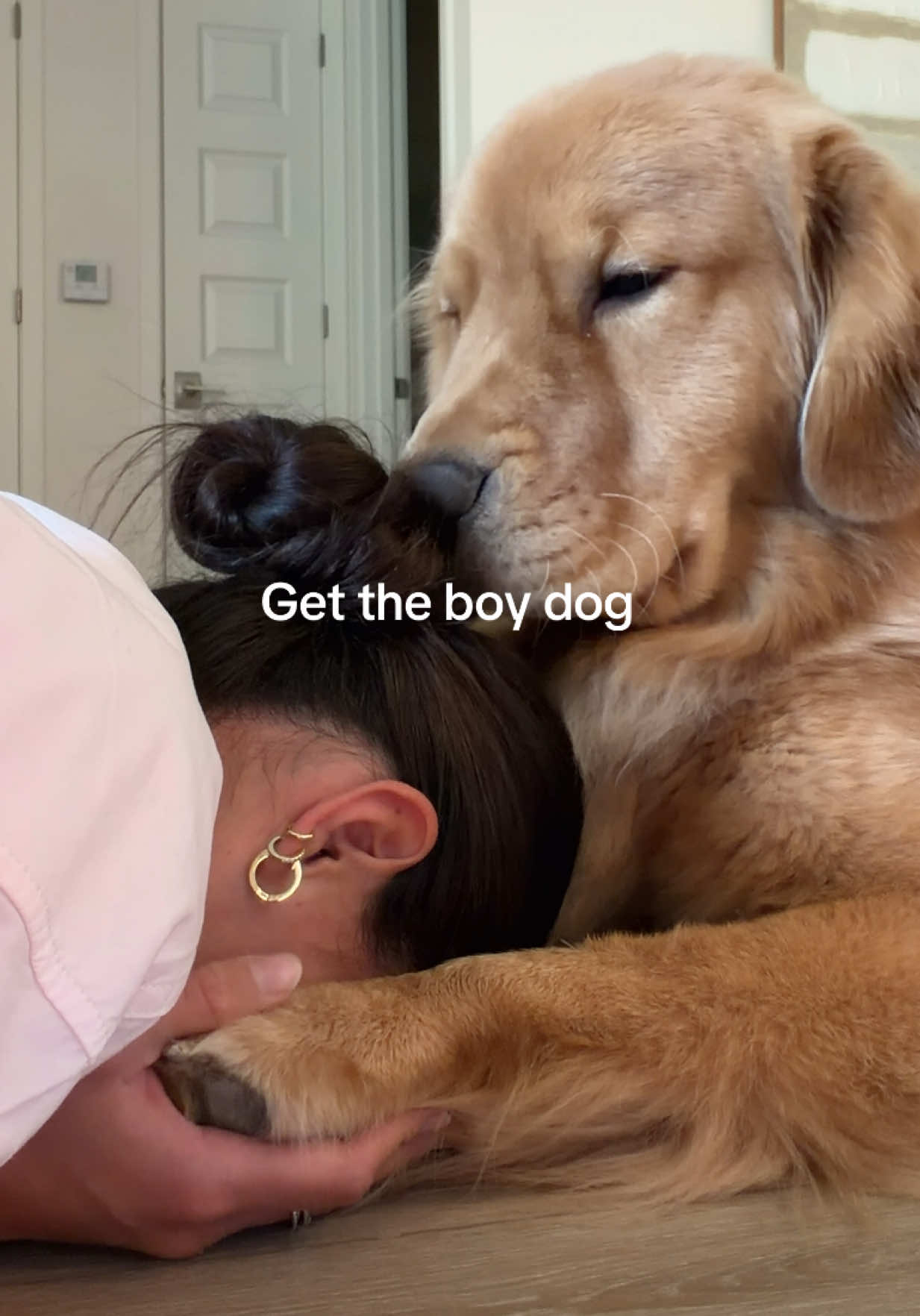 @Romeo the Retriever